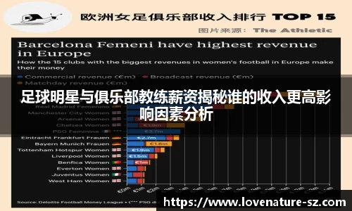 足球明星与俱乐部教练薪资揭秘谁的收入更高影响因素分析